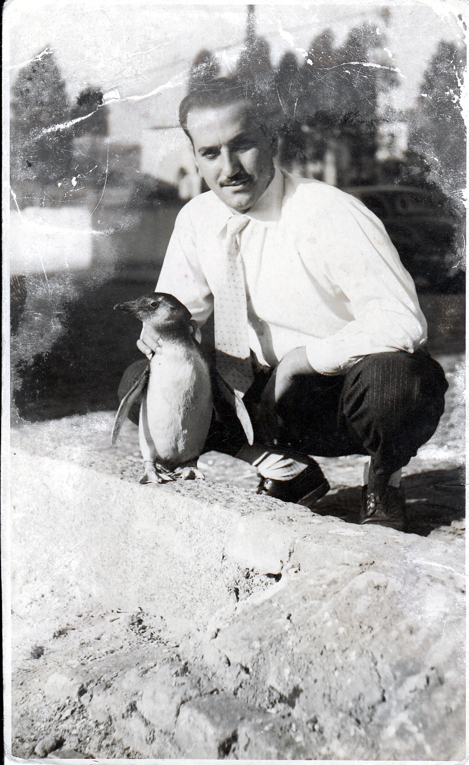 Foto de Mario Amatuzzi com Zé, seu pinguim de estimação, no Parque da Aclimação.