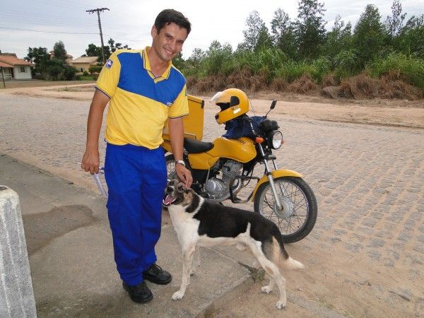 O Cão pode ser sim o melhor amigo do carteiro
