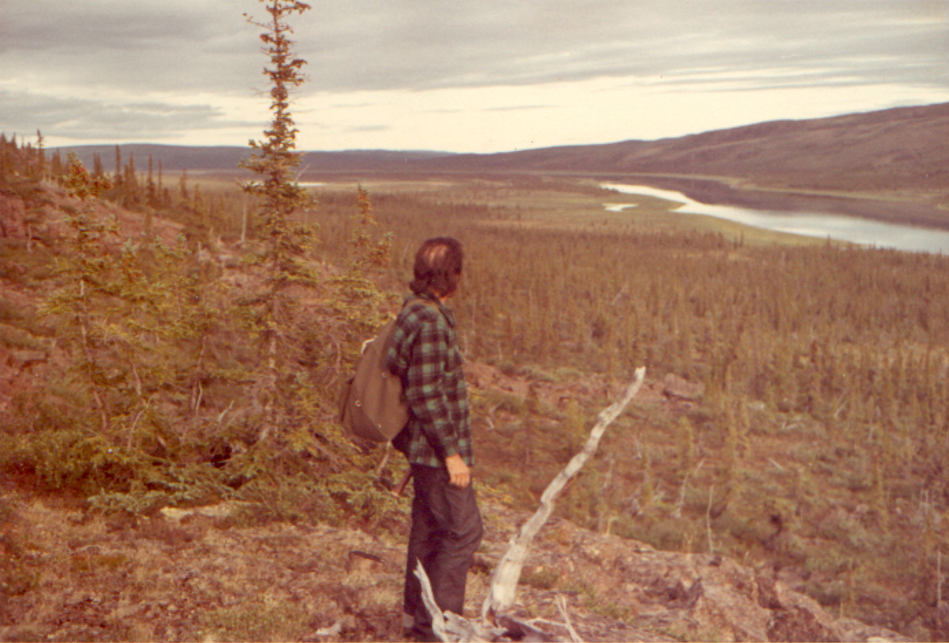 Oitenta por cento de ferro nas almas