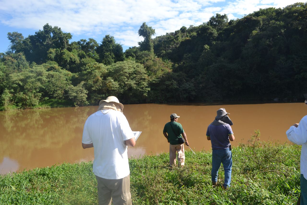 Monitoramento do rio para estudo do que enriquecer na beira do rio. Por exemplo, eles vieram que tinham que plantar palmitos, que estava em falta.