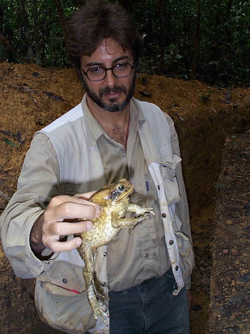 A foto está relacionada a um estudo sobre o impacto da exploração madeireira e do desmatamento sobre a fauna amazônica. Mostra um exemplar de sapo cururu (Bufo marinus), uma das espécies que pode ser bastante atingida com os impactos sofridos pela floresta. Na amazônica brasileira mais de 1.5 milhões de hectares de florestas são exploradas para retirada de madeira. A maior parte feita sem cuidado o que causa grandes dados a vegetação e a cobertura florestal. Pouco se sabe sobre os impactos da exploração sobre a fauna amazônica. O IPAM mantém um estudo de longo prazo avaliando tais impactos. Se a fauna for afetada, grande parte da regeneração florestal após a exploração pode ficar comprometida (os animais são os principais dispersores de sementes na floresta) e assim como a exploração sustentável da floresta.