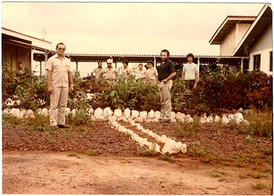 Jardim do 1° Laboratório da mina. Do lado esquerdo, o laboratório químico e, do direito, o de física. Na foto (da esq, p/ a dir.): Dr. Joaquim (1° engenheiro químico de Carajás), Jorge Caldas e Adonias de blusa escura.