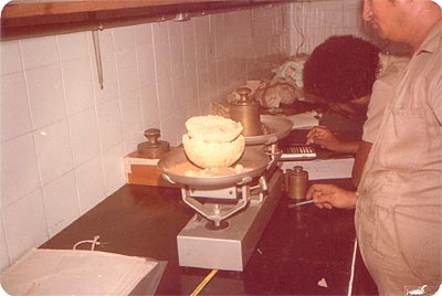 Pesagem do ouro produzido na usina piloto do Babaçu-Mamão. foi produzido um total de 106 quilos de ouro na primeira produção deste minério pela CVRD.