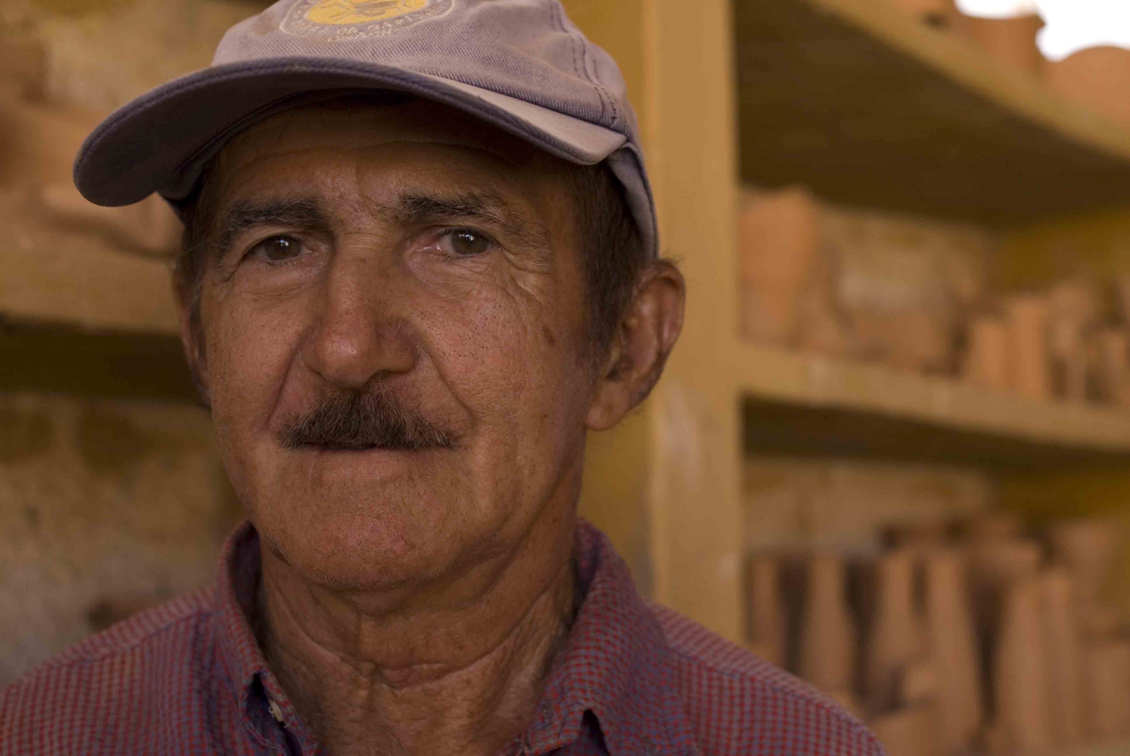 Sábio das tocas