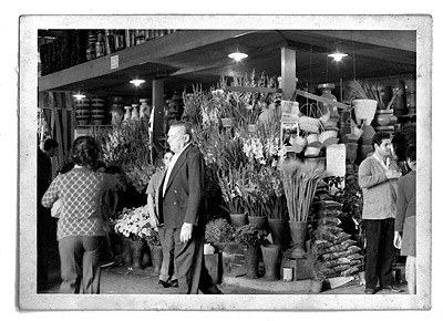 A foto foi tirada no mercado da Lapa. Essa banca foi inaugurada em 1963. O mercado abriu em 1954 o senhor Fernando começou a trabalhar desde o início do Mercado vendendo frutas. Depois de 1962 ele decidiu abrir uma banca de flores por que havia menos concorrência.