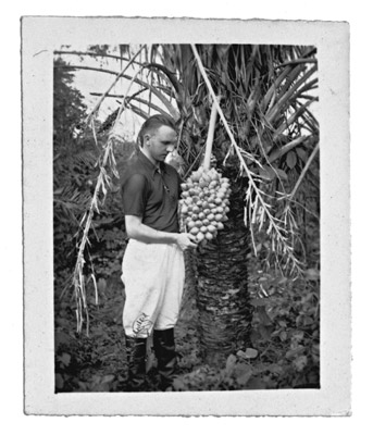 A foto foi tirada a pedido do senhor Josef Zucha. Essa foto foi tirada no Norte do Pantanal quando o Senhor Zucha viu o Babaçú pela primeira vez. O senhor Zucha estava viajando para São Luiz de Cárceres no Norte do Pantanal na fronteira com a Bolívia.