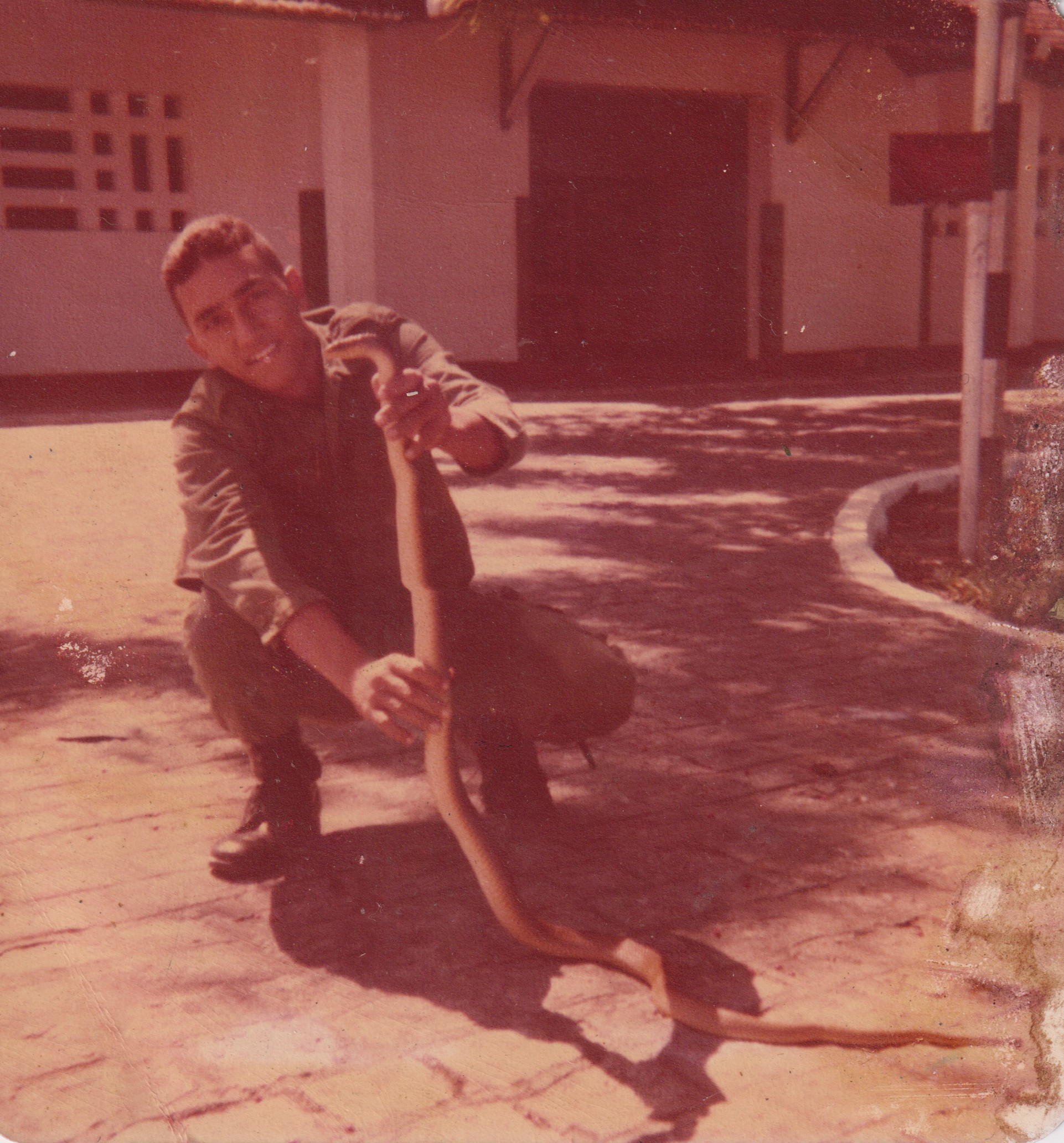 Aguinaldo e a sua  cobra Lolita, relatou que aos finais de semana a levava para casa. Quando a encontrou, estava de serviço e deitou-se na porta de um paiol de munição, acordou com a cobra perto dele e passou a criá-la ao perceber que não era venenosa.