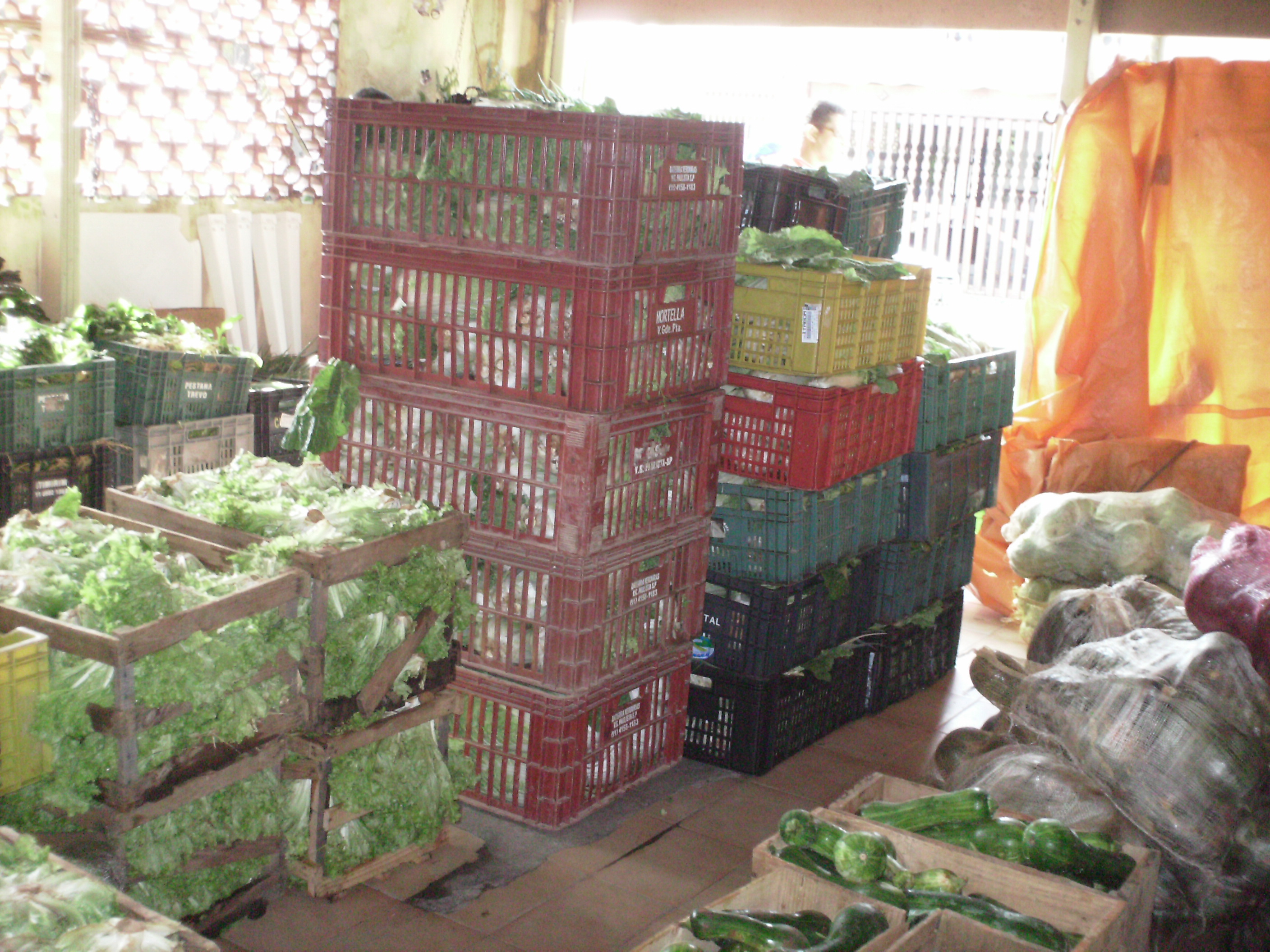 Alimentos organizados para a distribuição, aos usuários