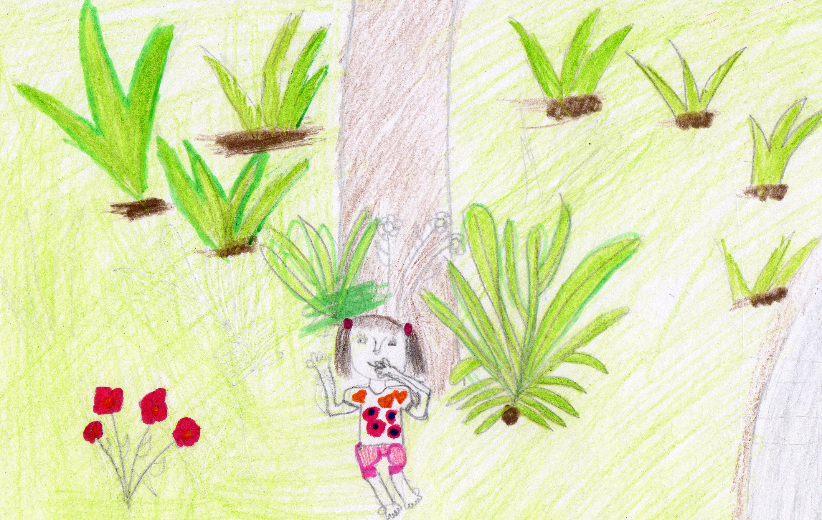 Uma história em Itapevi