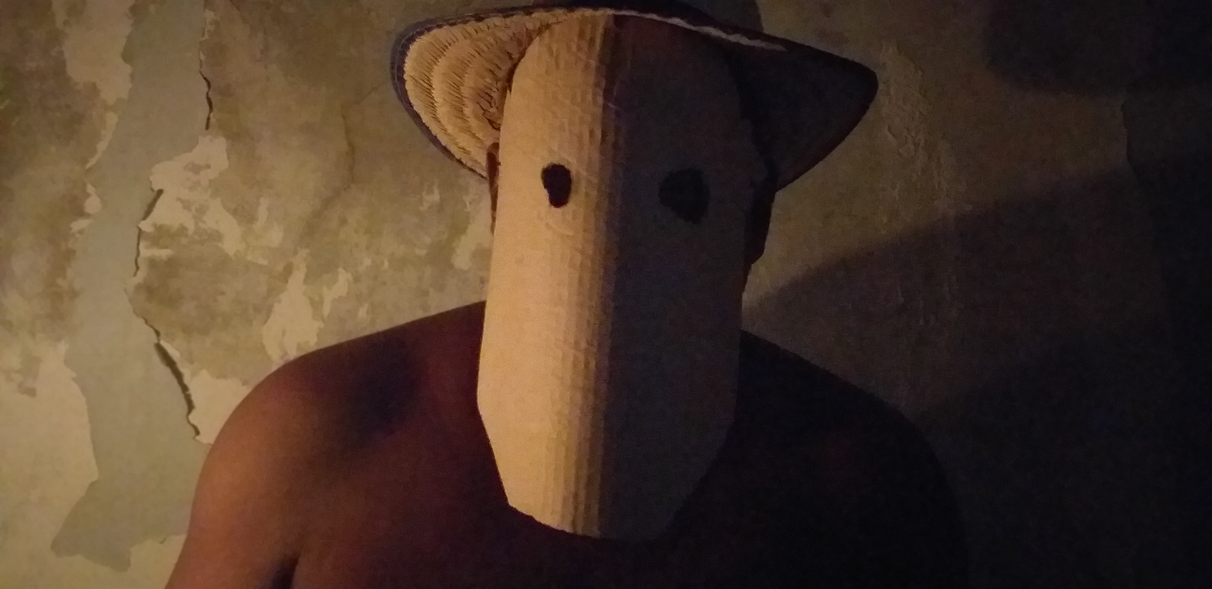 Ensaio fotográfico feito no quarto da casa de Celso. Estudos mediados por arte e terapia, durante o período da pandemia.
Deste ensaio foi produzido o primeiro FOTOLIVRO, Turvo,  pelo labfotocontemporanea.com, sob a orientação de Leonardo Ramadinha.