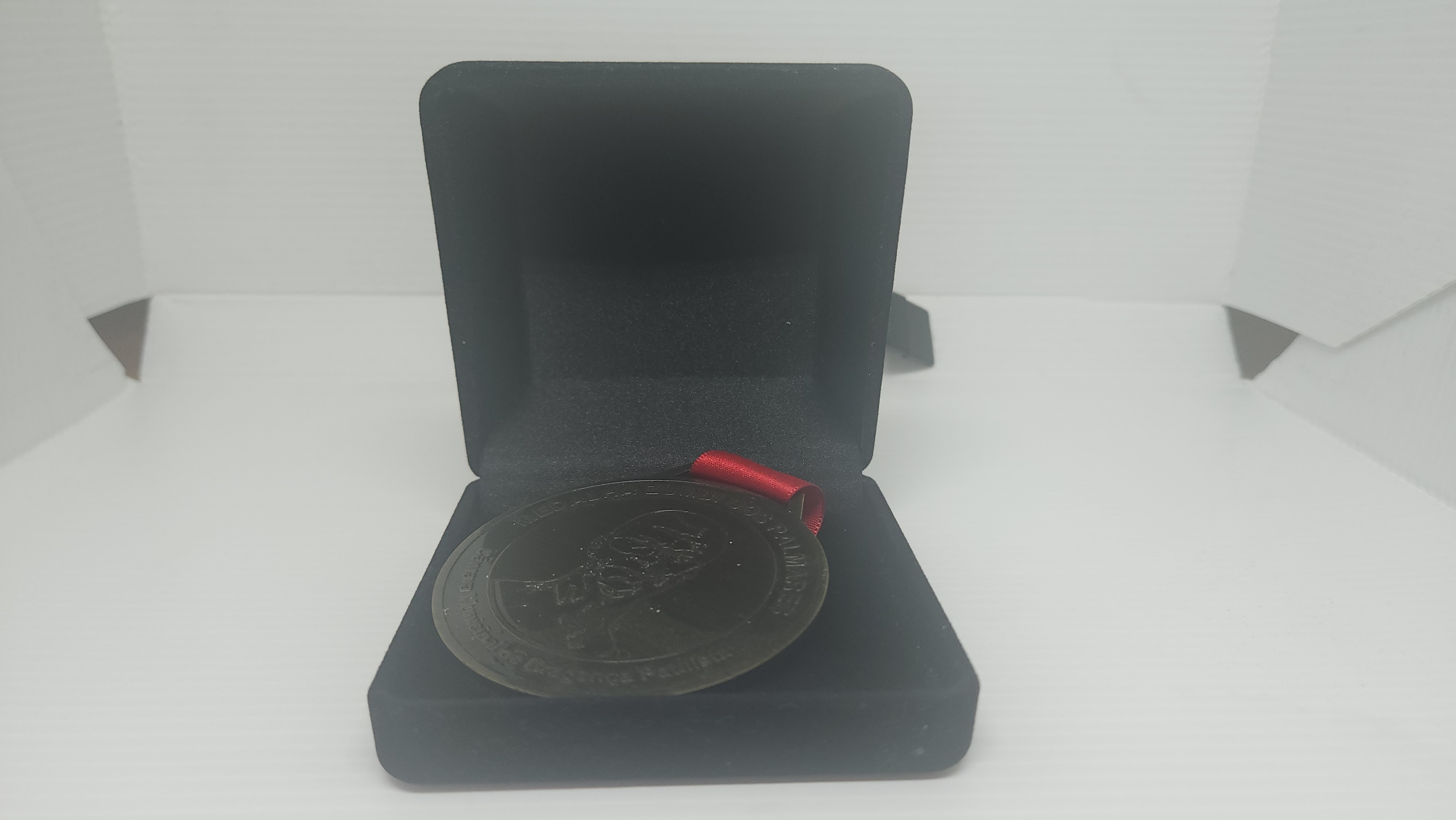 Medalha Zumbi dos Palmares, recebida no ano de 2022 através do projeto da vereadora negra missionária Pucaia Olindo. A indicação para está homenagem foi através da Comissão Especial da Verdade sobre a escravidão negra no Brasil e da Comissão Especial Sobre Igualdade Racial.