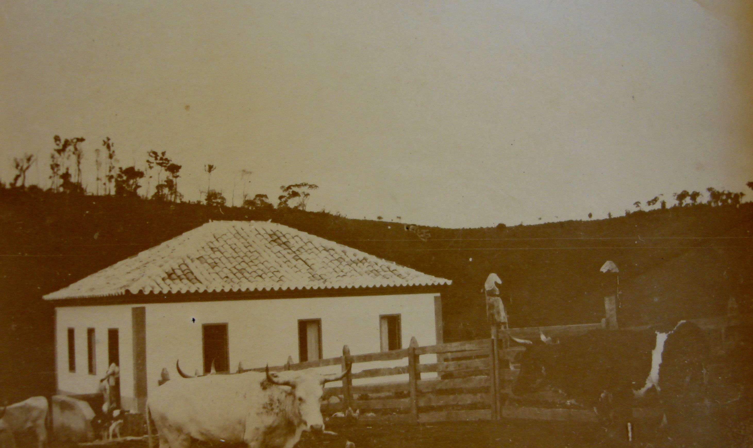 Imagem da primeira sede da Fazenda em Água Limpa, em Mococa, registrada no século XIX. Fundada em 1822 pelo avô do bisavô de João, a fazenda foi inicialmente dedicada à agricultura de subsistência, com o cultivo de arroz, mandioca, milho, couve, fumo e cana-de-açúcar para produção de rapadura. Em 1844, foram introduzidos os primeiros pés de café, marcando uma nova etapa na história da propriedade. Foi nesse espaço que João viveu toda a sua infância e juventude, cercado pelas raízes de sua família e pela memória de gerações que ajudaram a moldar o território.
