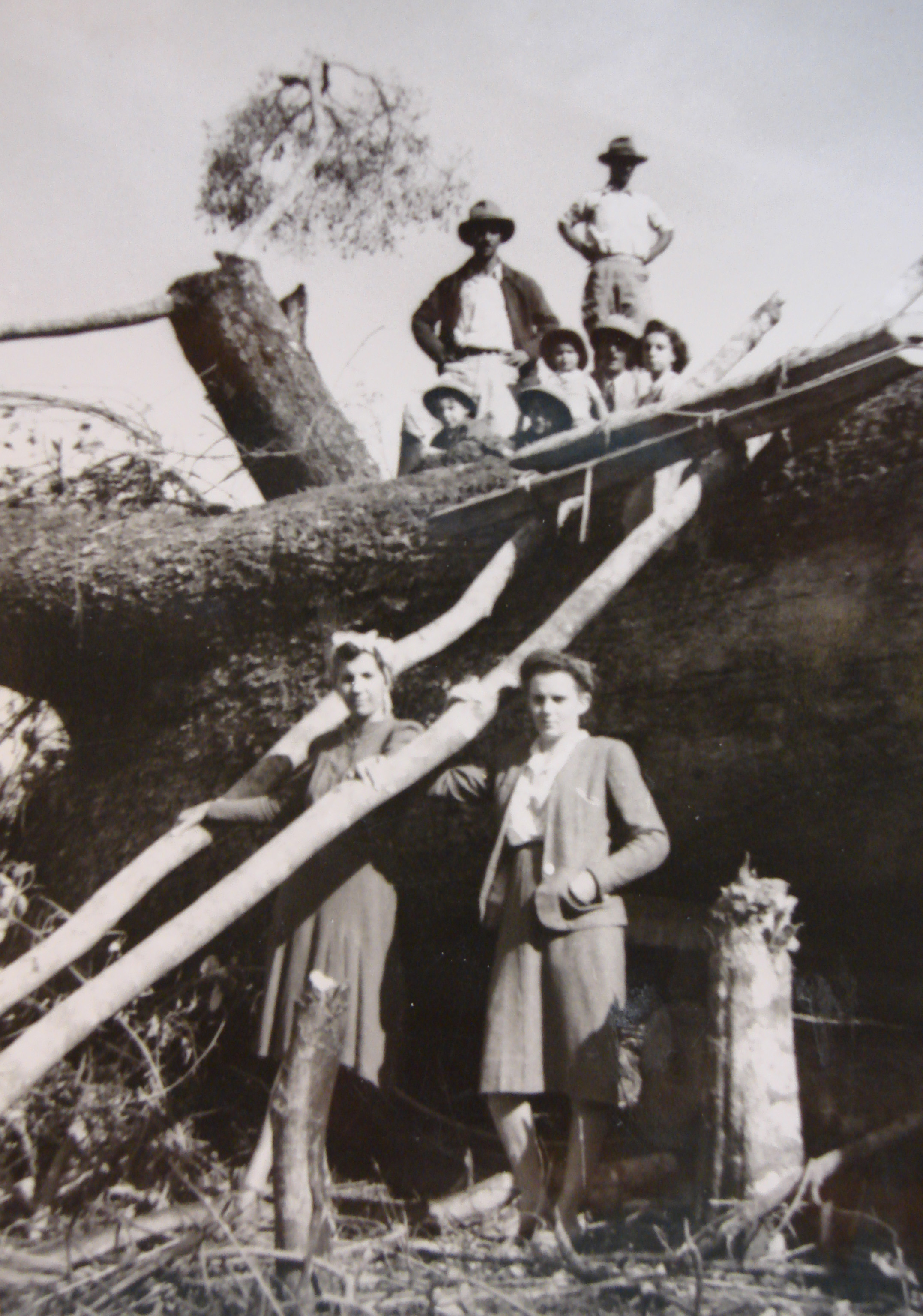 Registro coletivo de uma derrubada na fazenda, com todos os envolvidos reunidos. Na composição, as mulheres aparecem à frente, seguidas pelas crianças e, ao fundo, os homens, formando uma cena que expressa a organização comunitária e o papel de cada grupo na dinâmica do trabalho rural.