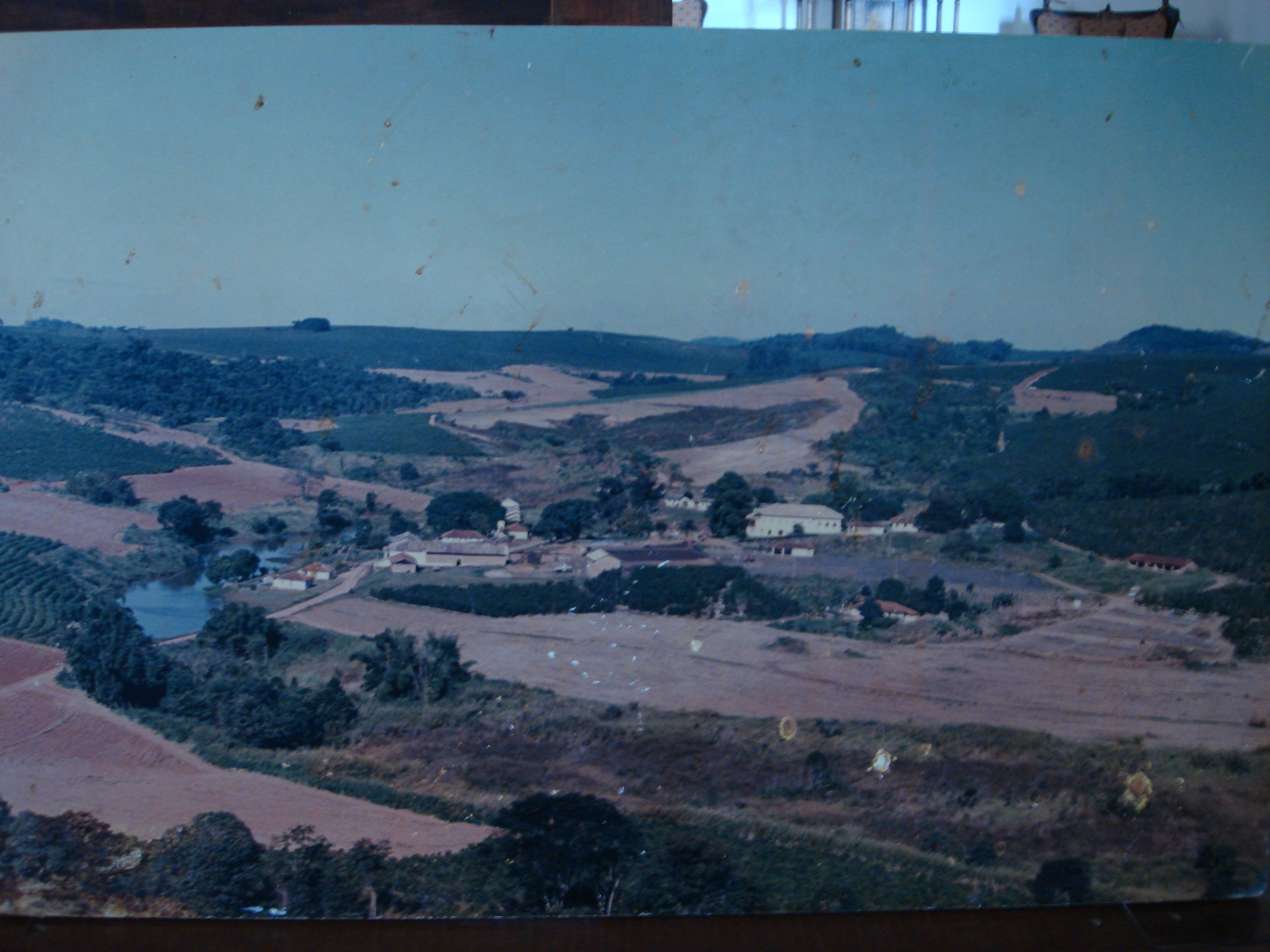 Vista panorâmica da fazenda no início dos anos 1990, eternizada em um quadro. A imagem marca o período em que João iniciava uma transição corajosa: abandonando o uso de inseticidas, em busca de um cultivo mais natural. Um gesto pioneiro que contrariava as práticas convencionais da época.