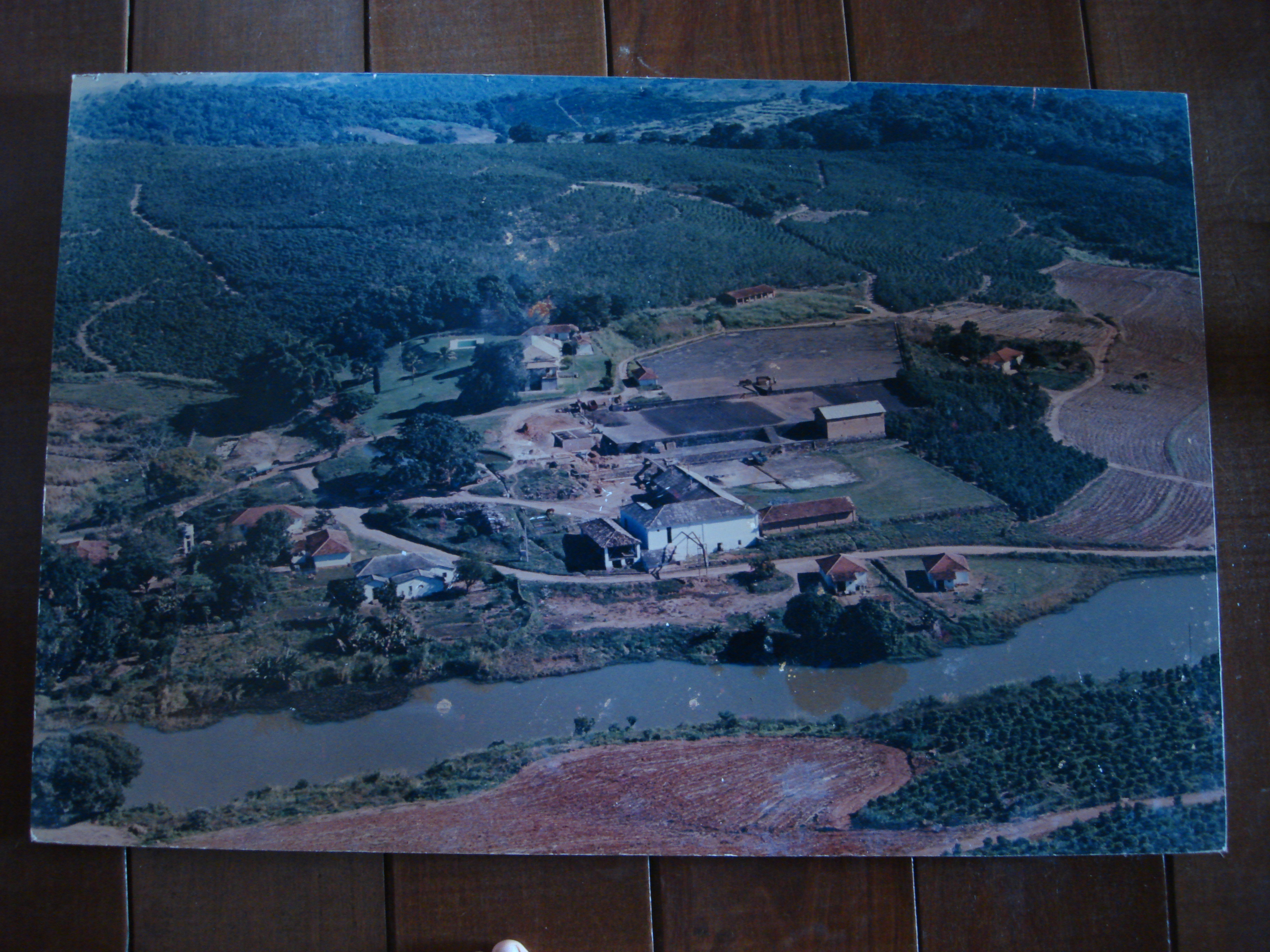 Panorama da fazenda em fase de renovação, também registrada em quadro no início dos anos 90. Após anos de perdas iniciais, o café floresceu sob o novo manejo sem pesticidas. A imagem simboliza o triunfo da persistência e o nascimento de uma agricultura mais consciente, que João nunca mais abandonaria.