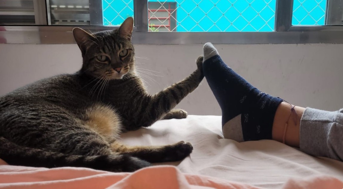 Depois do glitter, um acordo