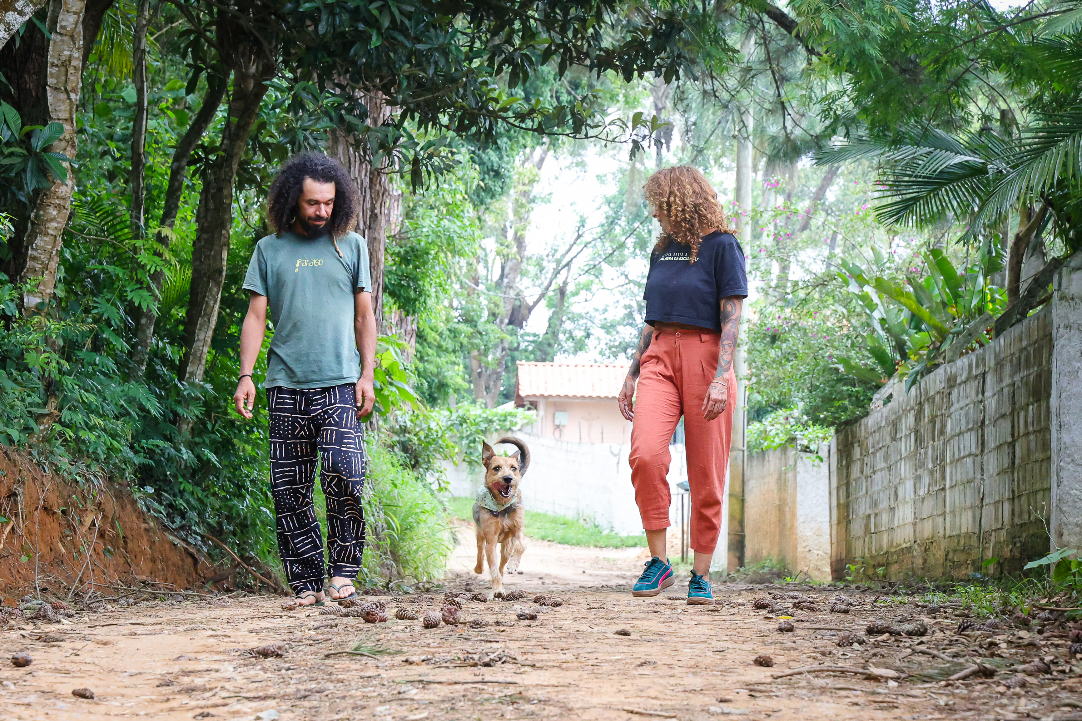 Um passeio em São Roque