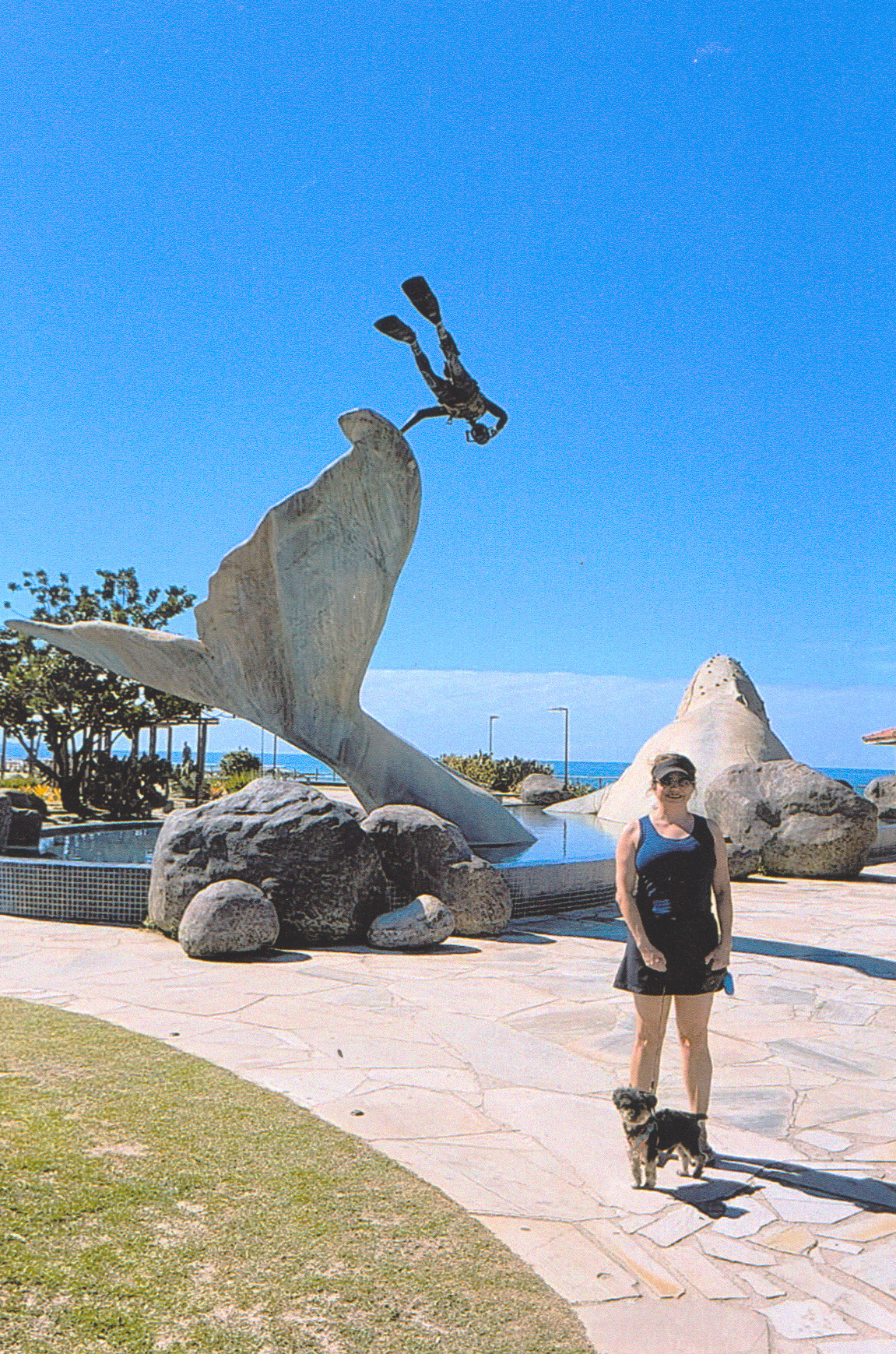 Em julho de 2025, no mirante da baleia, em Rio das Ostras, Sandra e Dean observam a paisagem litorânea diante da réplica da escultura. A imagem destaca a experiência de viajar com o cachorro da família, incorporando cuidados, caminhadas e convivência ao longo da viagem de comemoração da aposentadoria de Vagner, esposo.