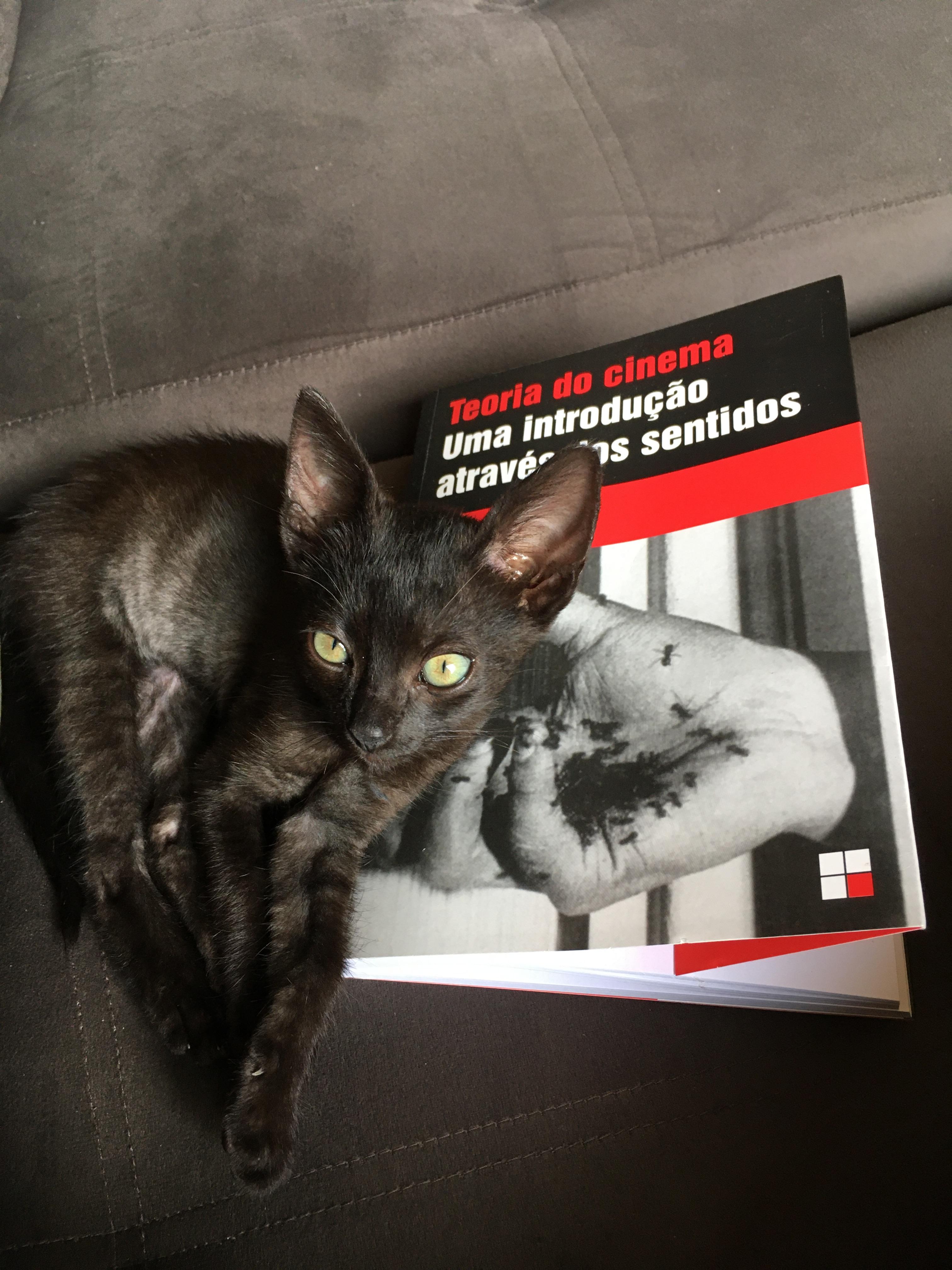 Em janeiro de 2022, enquanto Raissa começa a estudar cinema, Déjà ainda é muito pequeno. Em um momento de curiosidade, ele se deita sobre a capa de um livro, criando a ilusão de que recebe um carinho da imagem impressa. O gesto chama a atenção e se transforma em fotografia. O registro une estudo, cotidiano e convivência, mostrando como o animal atravessa até os momentos de formação pessoal.