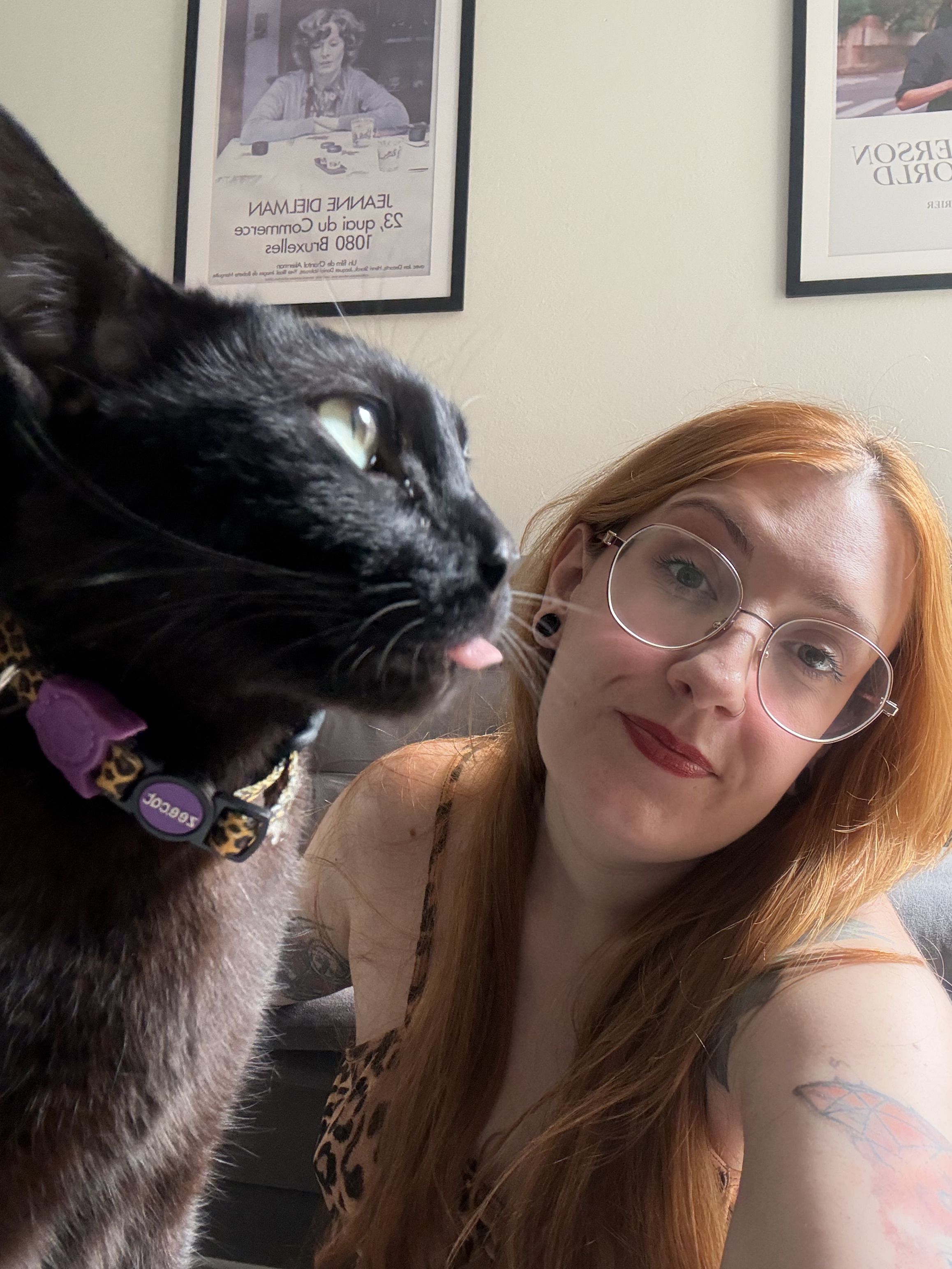 Em dezembro de 2025, após trocar de celular, Raissa senta no chão e passa algum tempo tentando fotografar Déjà para testar a nova câmera. Ao apertar o botão rapidamente, consegue capturar um momento engraçado, em que o gato parece mostrar a língua. A imagem preserva a leveza da brincadeira e a curiosidade técnica misturada ao afeto cotidiano.