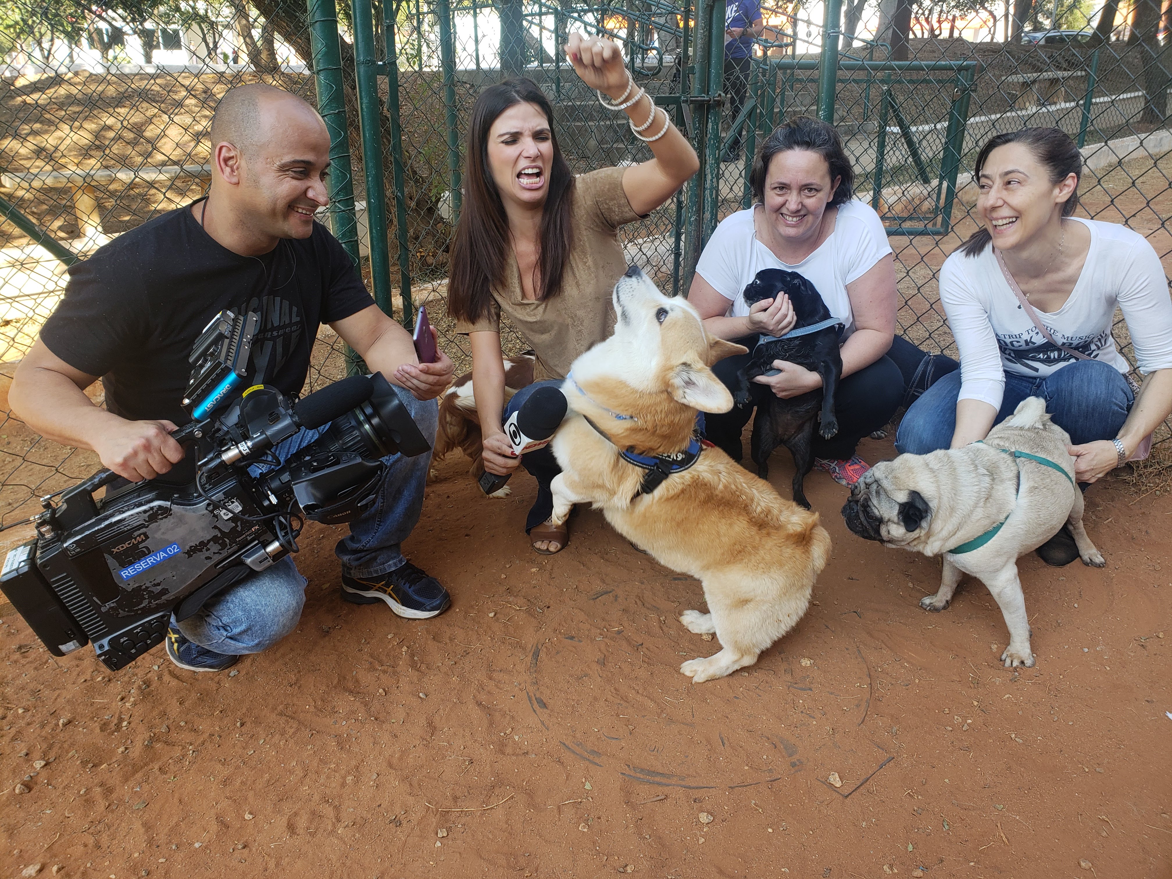 No Cachorródromo do Klabin, Marina e Toddy participaram de uma reportagem da Rede Globo, no SPTV. A repórter Sabina Simonato, o cinegrafista Silvinho Rock e duas frequentadoras do parque com seus pets registraram o movimento dos visitantes e suas demandas por melhorias à Prefeitura. Após quase uma hora de gravações, a edição selecionou justamente a participação de Marina e Toddy, exibida por Carlos Tramontina.