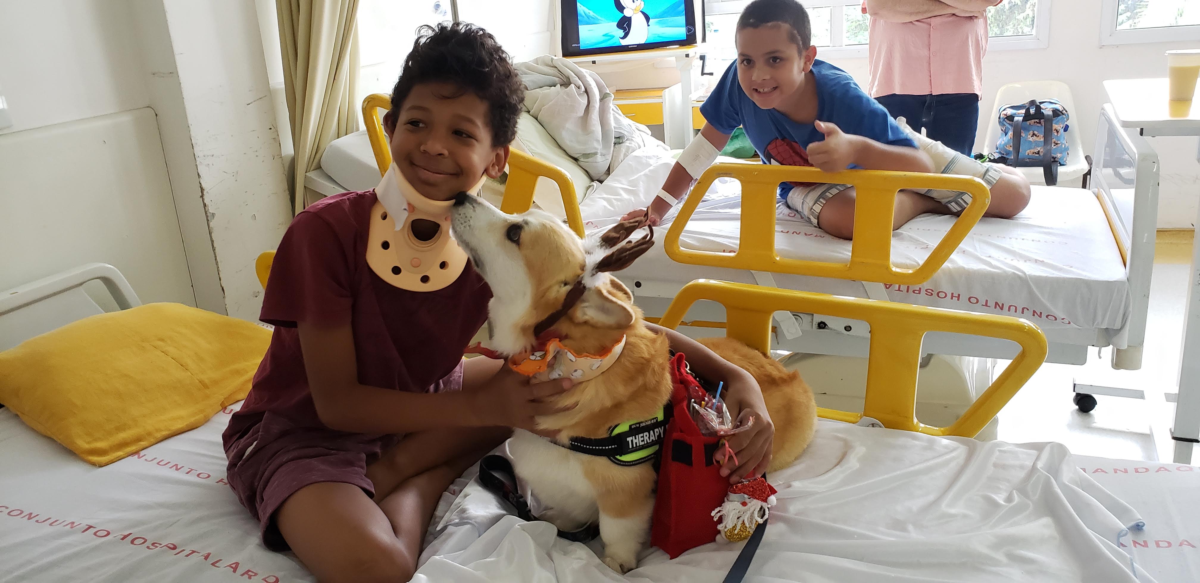 No setor de Pediatria do Hospital Mandaqui, Toddy, o corgi que desde 2017 atua como cão de apoio voluntário na ONG Terapia Cão Carinho, esteve ao lado de uma das crianças internadas. Sua presença levou amor, alegria e esperança, animando os pequenos pacientes e contribuindo para o tratamento, revelando como o vínculo entre humanos e animais pode transformar o ambiente hospitalar em espaço de acolhimento e ternura.