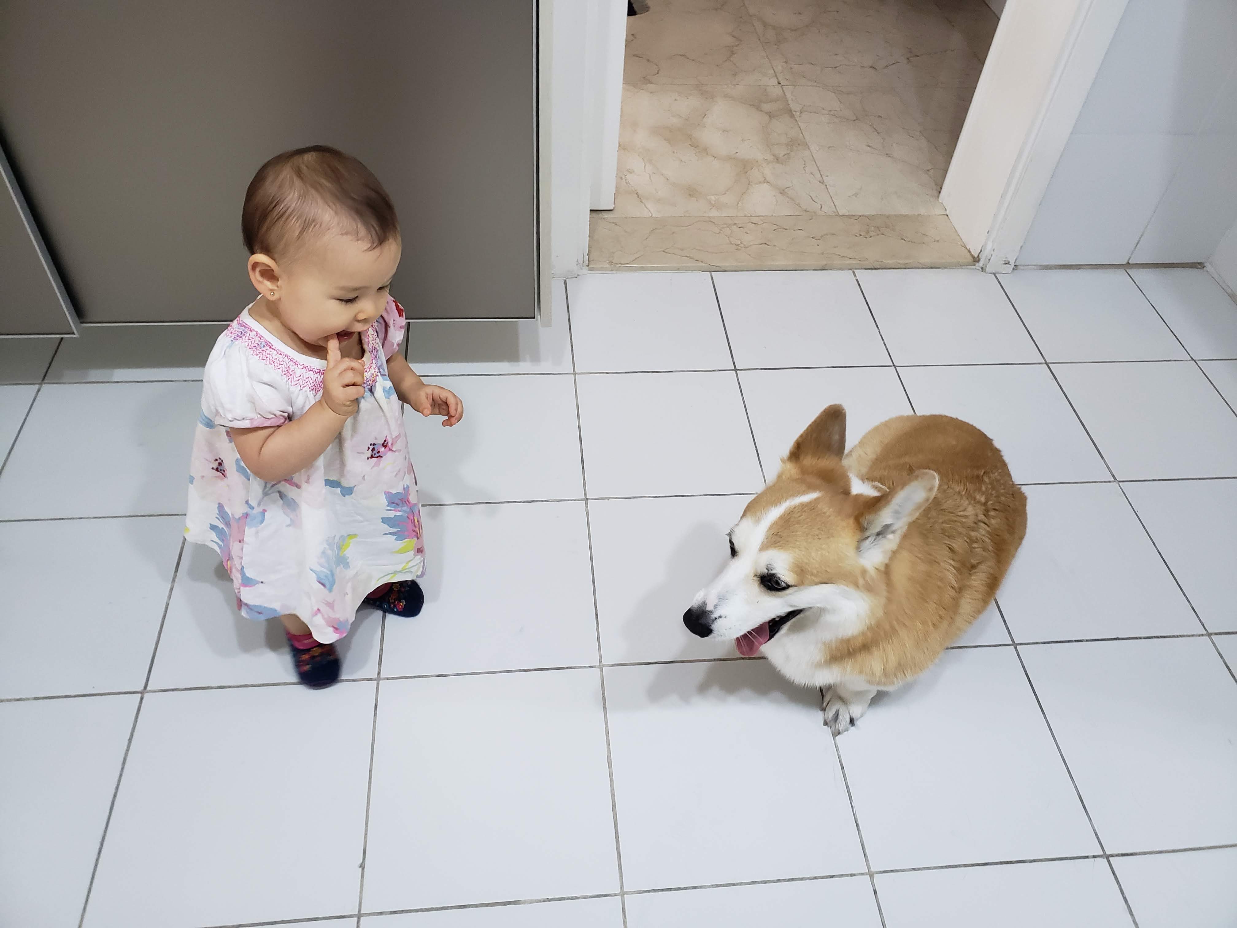 Na cozinha da casa de Marina, a neta Elisa aparece ao lado de Toddy, o corgi que se tornou seu companheiro inseparável. Quase todos os dias, após a escola, Elisa visitava a casa da avó, e juntos inventavam brincadeiras que enchiam o ambiente de risadas. A fotografia mostra como desde cedo os dois cultivavam uma amizade espontânea e afetuosa, revelando a força dos vínculos entre crianças e animais.