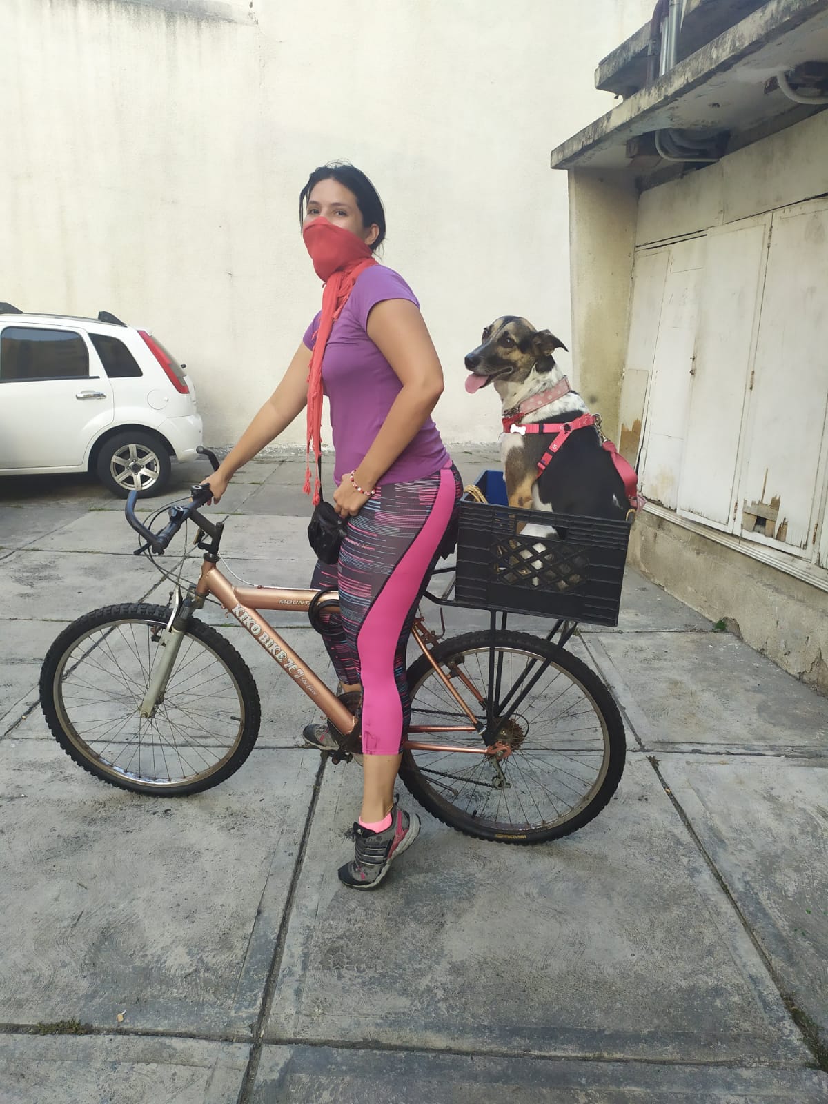 Em plena época da pandemia, Oriana encontrou uma solução engenhosa para se locomover por Caracas sem deixar Marta para trás. De máscara, pedalava pelas ruas da cidade enquanto a cadelinha vira-lata, acomodada em uma cestinha adaptada, descobria o mundo em movimento. No início, a experiência foi um desastre: Marta resistia, estranhava o balanço da bicicleta e a novidade da viagem. Mas, com o tempo, ela se adaptou, transformando o improviso em rotina. Mais do que um registro de deslocamento, a imagem é memória de resiliência: Oriana e Marta reinventando o cotidiano, driblando as leis de transporte que não permitiam animais e encontrando, juntas, uma forma de seguir adiante.