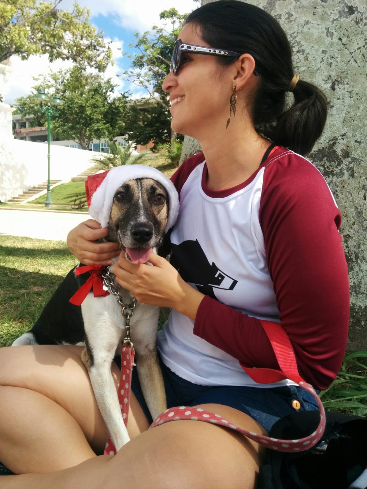 Era dezembro, próximo ao Natal, e Caracas se iluminava com o espírito festivo da época. Oriana passeava pelo Paseo de los Próceres em companhia de sua amiga homônima, Oriana, em um dia marcado pela tranquilidade e pelas conversas que se prolongavam sem pressa. Marta, sempre presente, acabou sendo colocada em um caminhão-tanque de exposição, gesto espontâneo que transformou o passeio em uma lembrança única.