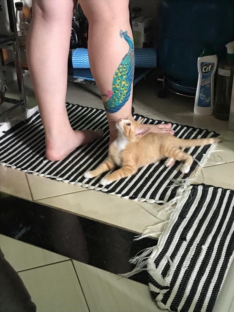 O que você está fazendo aí?