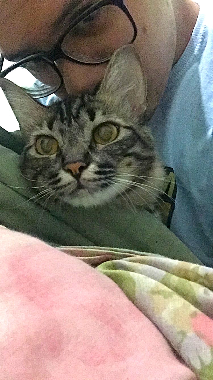 Em um dia frio, Daniel divide o calor da cama com Mia, uma de suas gatas, revelando uma confiança silenciosa. A cena acontece sem esforço ou pose: é apenas o descanso compartilhado entre humano e pet, um instante íntimo em que o cuidado se expressa pelo simples ato de estar junto. A tranquilidade da gata reflete a rotina de afeto construída no convívio diário, onde o quarto se transforma em abrigo e o descanso vira linguagem de vínculo.