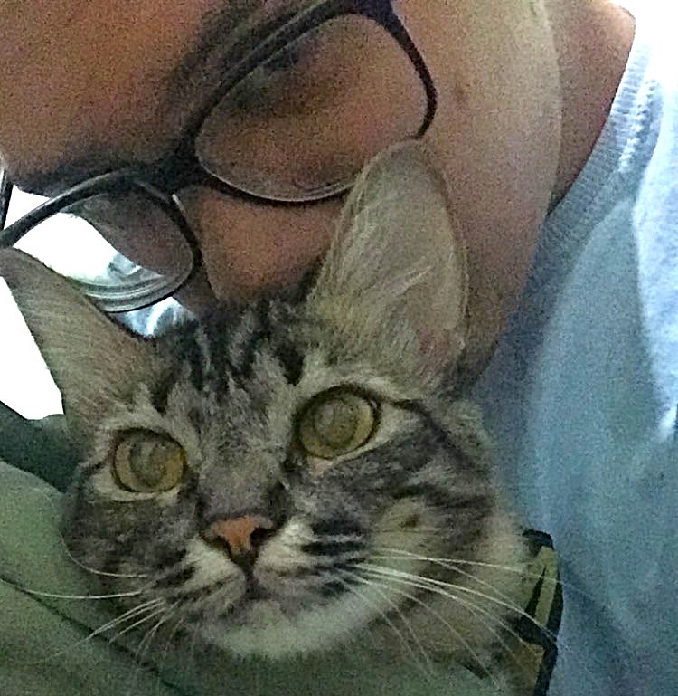 A tatuagem que virou encontro