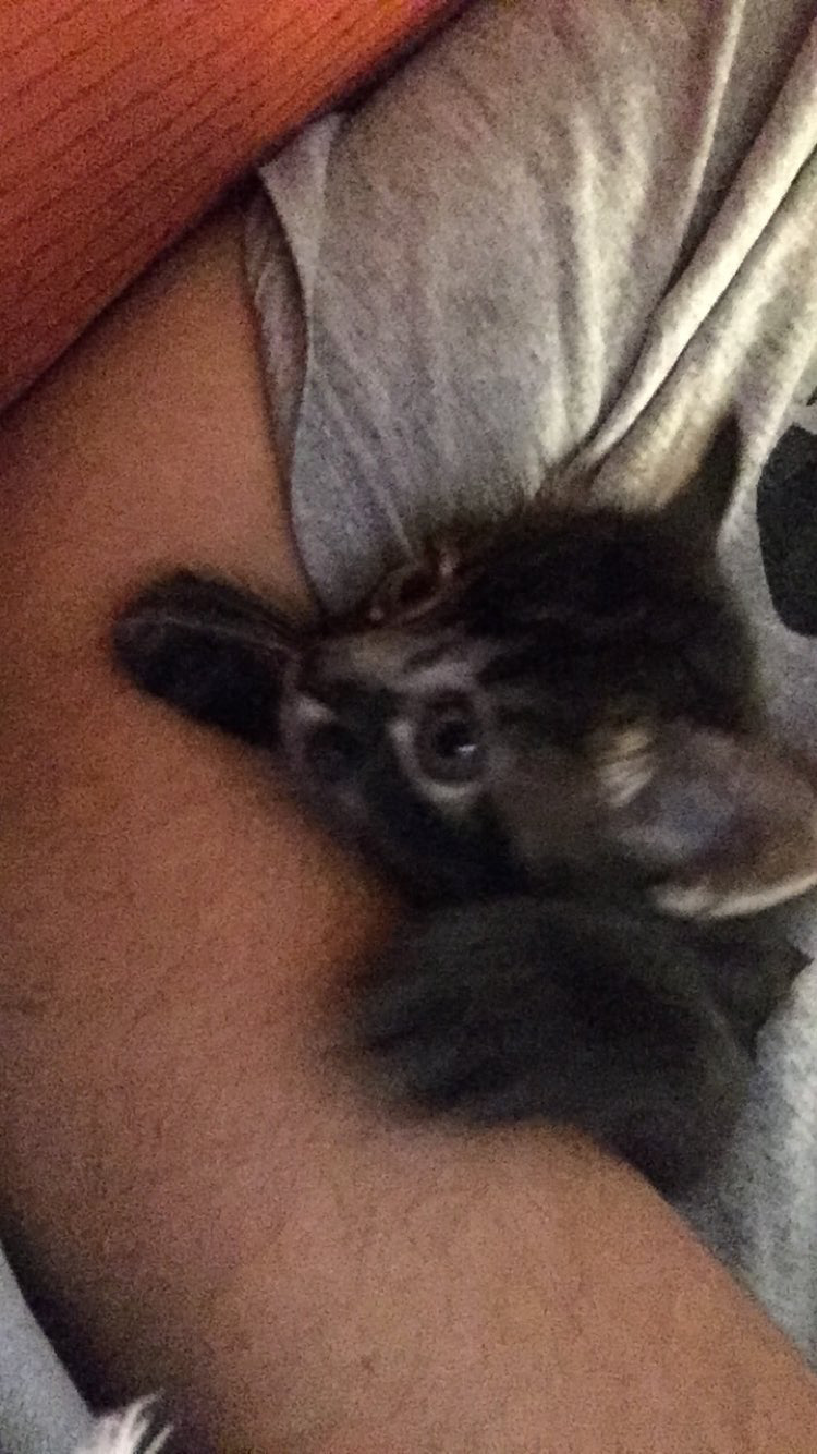 Esta é a primeira fotografia de Mia. Daniel a faz no momento em que vai buscá-la na casa de sua tia, ainda antes da adoção se concretizar. A imagem nasce com a intenção simples de ser enviada à irmã, como uma brincadeira anunciando que a levaria embora. No entanto, o registro se transforma em marco inicial de uma história compartilhada, capturando o instante em que a decisão começa a tomar forma e o vínculo ainda é promessa.