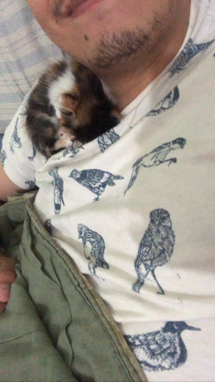 Quando Nina chegou à vida de Daniel, era tão pequena que encontrava abrigo ao dormir em seu pescoço. A fotografia registra esse gesto de proximidade extrema, em que o corpo humano se transforma em refúgio. A imagem evidencia a fragilidade do início e a confiança construída desde os primeiros dias, revelando um cuidado que se estabelece no contato direto e no calor compartilhado.