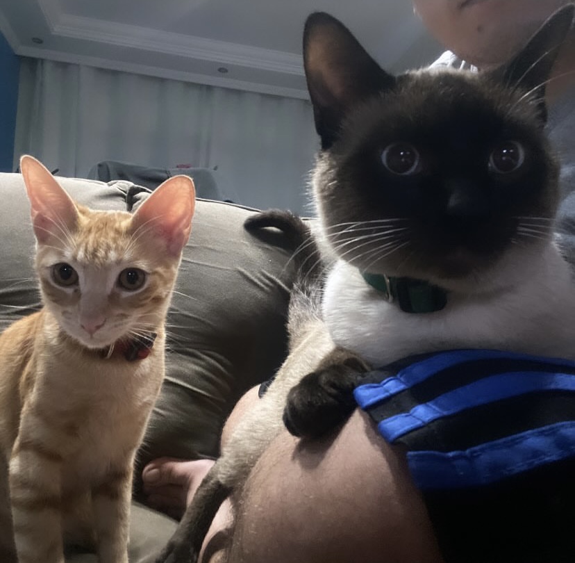 Luke e Kizaru aparecem juntos em um registro que evidencia a proximidade construída desde o primeiro encontro. Desde o instante em que se viram, os dois estabeleceram uma relação de amizade marcada pela presença constante e pela convivência harmoniosa. A fotografia captura esse vínculo espontâneo, revelando como algumas conexões se formam sem esforço, tornando o convívio diário mais leve e compartilhado.