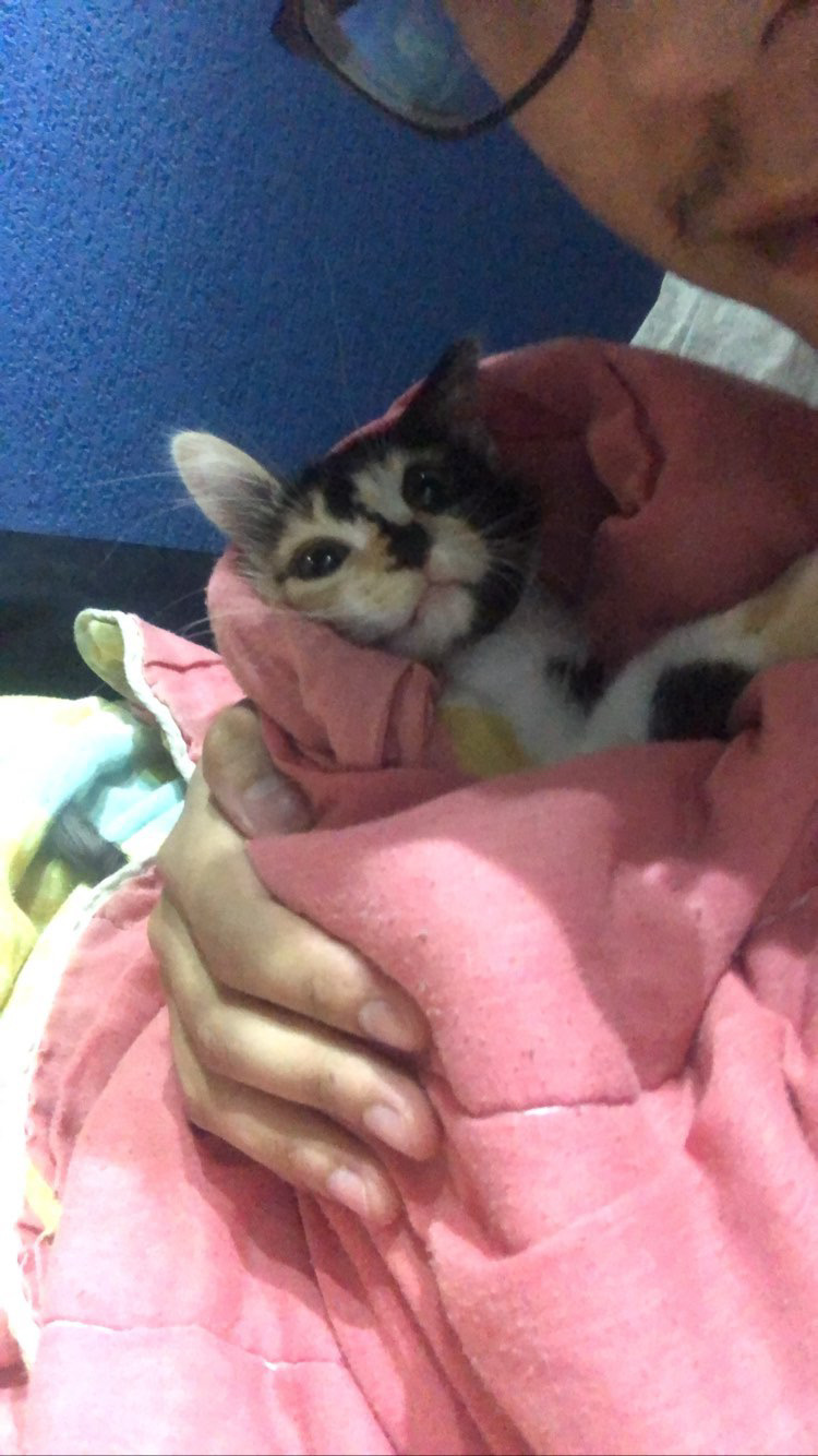 Daniel e Nina aparecem juntos em um momento de descanso durante um dia frio. Enrolados um no outro, dividem o calor e o silêncio. A fotografia registra uma convivência construída no cuidado mútuo, em que o corpo humano e o corpo do animal se ajustam naturalmente, transformando o descanso em gesto de acolhimento.