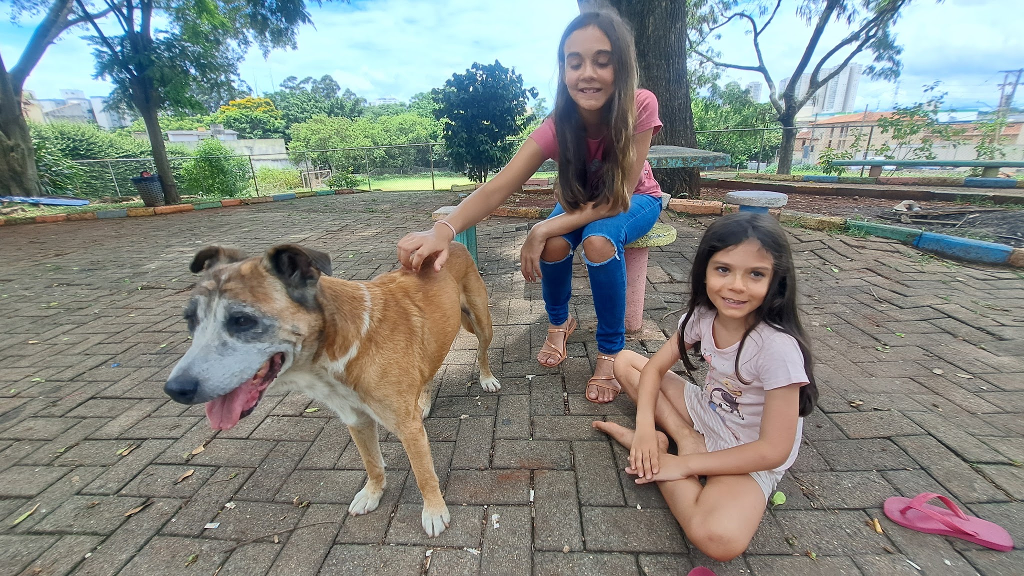 Registro de Friday ao lado de Rosa e Joana no Parque da Joia em um momento de convivência.