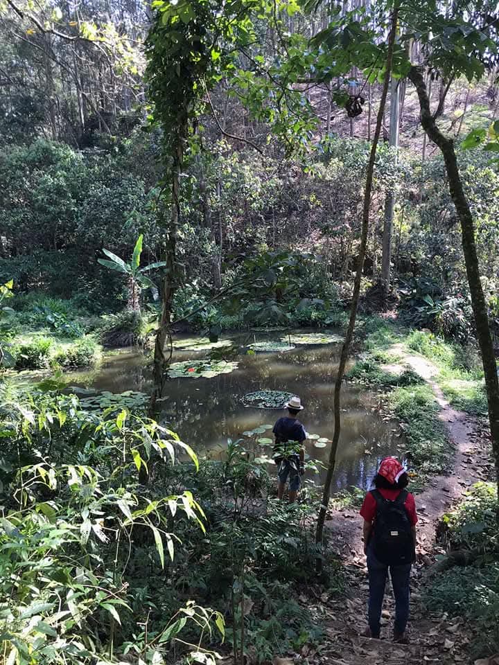 Lago da Aldeia Itakupé, localizado no distrito do Jaraguá - SP. A foto é um marco imponente para a vida de Adriano, sendo seu maior trabalho de permacultura feito na atualidade, tendo cuidado contínuo tanto por ele quanto pelos indígenas.