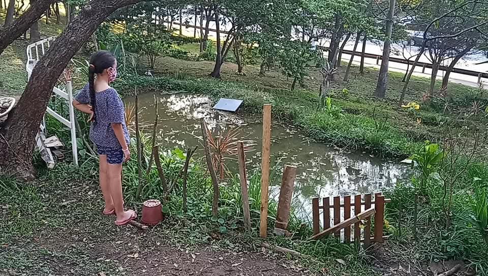 Trabalho de permacultura realizado na Praça da Vila Guarani, no Jabaquara - SP, junto com a comunidade local.