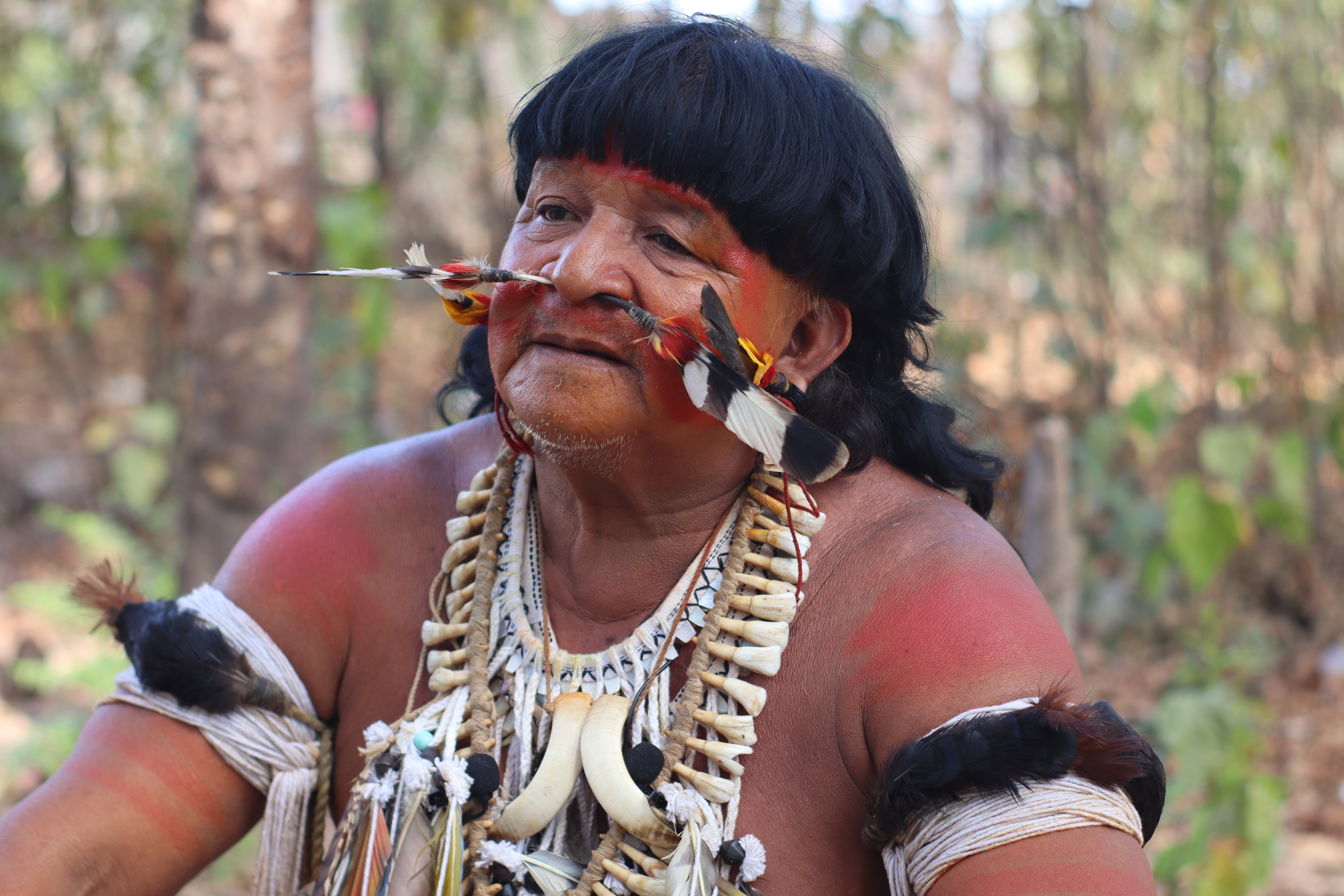 Ekexali Eholaline Holi - Benzimentos de proteção