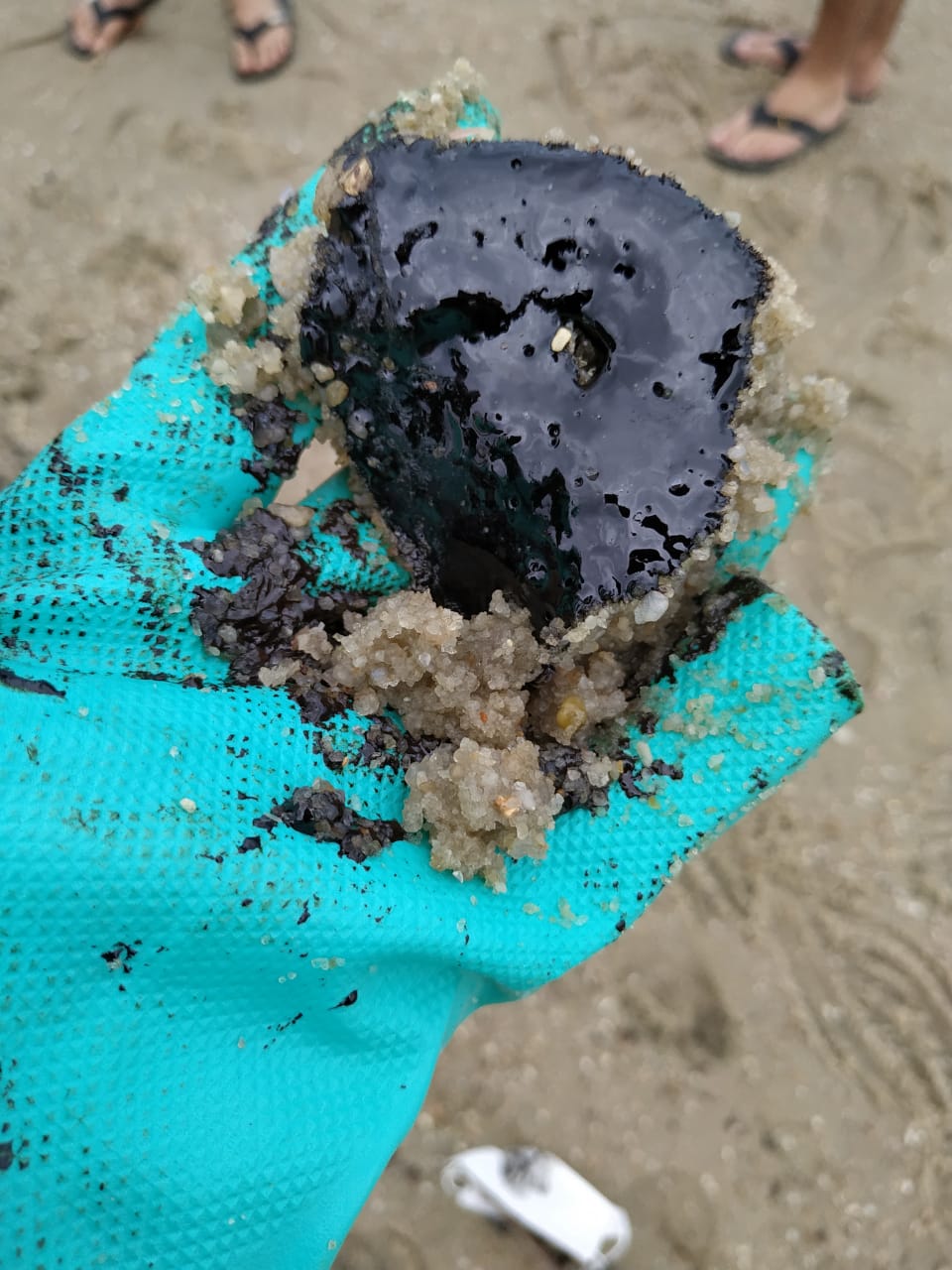 Afeto, solidariedade e luta