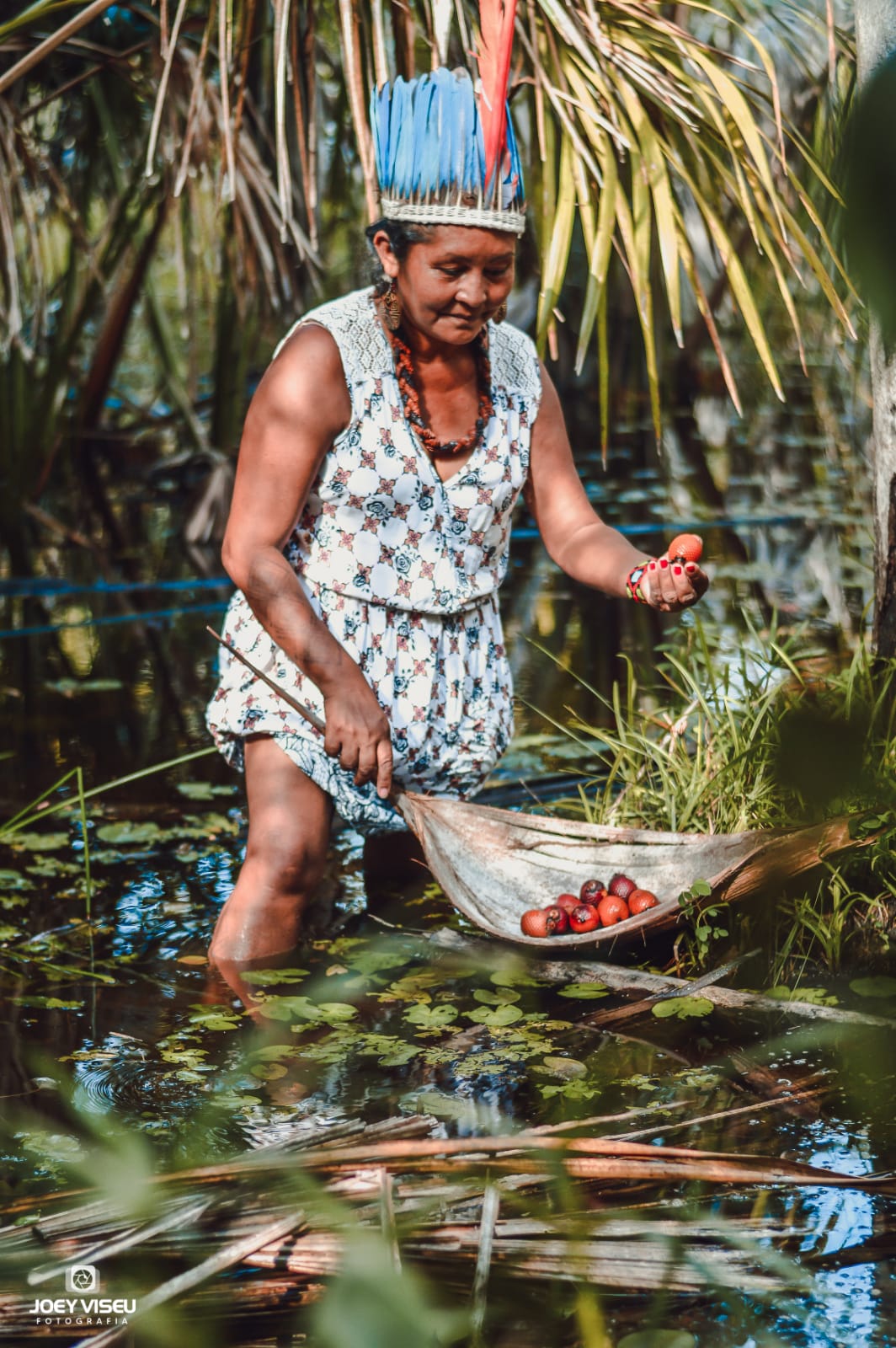 Nesta foto Luakam estava colhendo alguns buritis, primos do açaí, para fazer um suco.