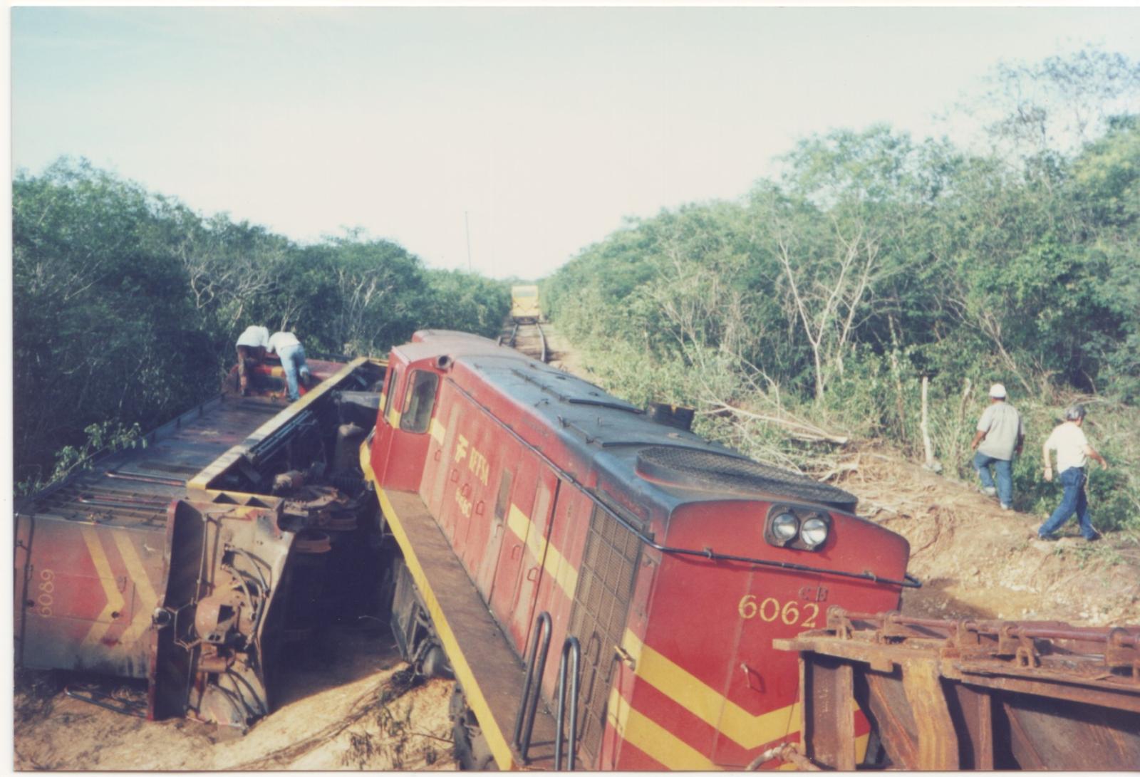 O trem da vida