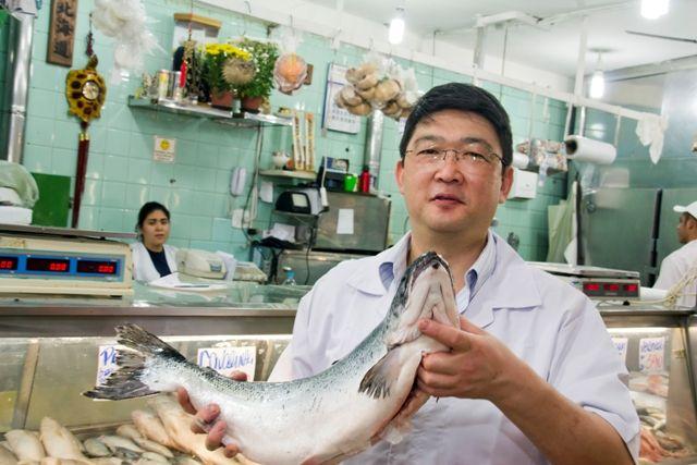 Signo de peixes