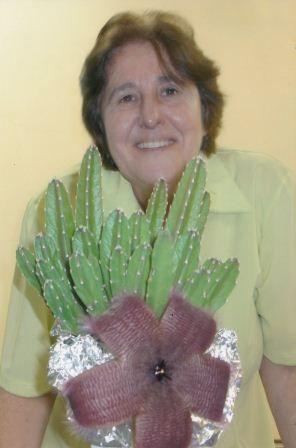 Uma infância entre brincadeira e trabalho