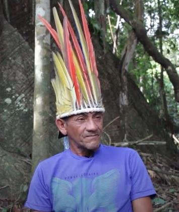 Um bate-papo debaixo da samaúma