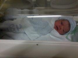 Chegando curioso e saudável