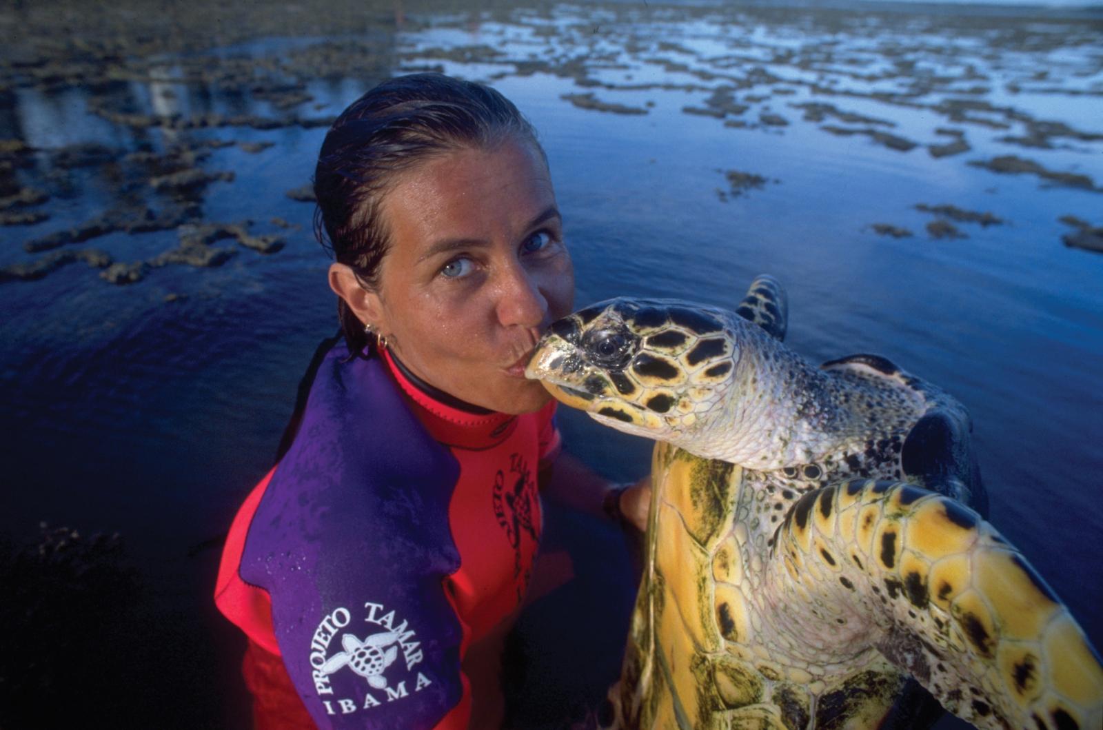 Tartaruga marinha, a embaixadora do mar