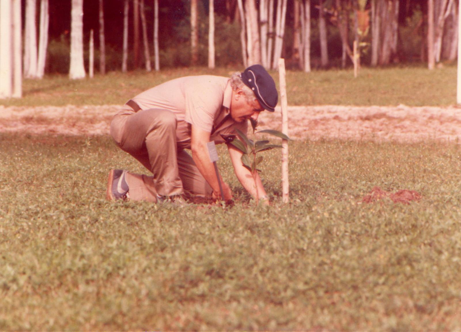 Romeu plantando uma árvore por ocasião da construção da Albrás.

