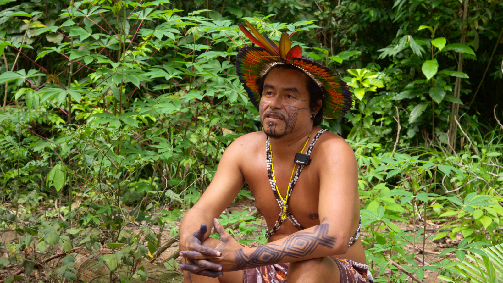 Terra sem males: memória e resistência Guarani